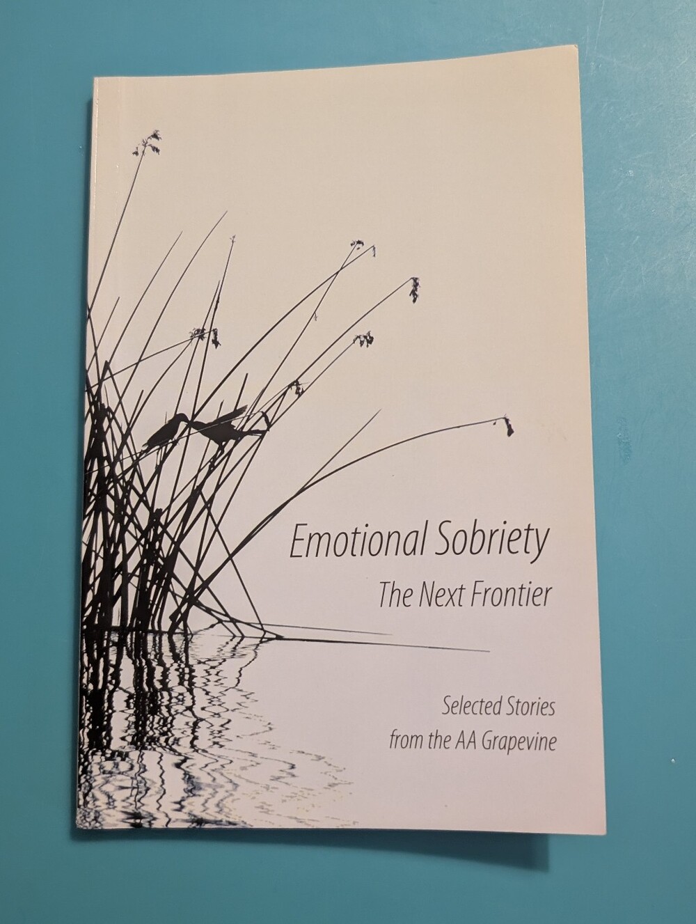 Emotional Sobriety The Next Frontier